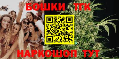 гидра Новозыбков