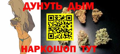 гидра Новозыбков