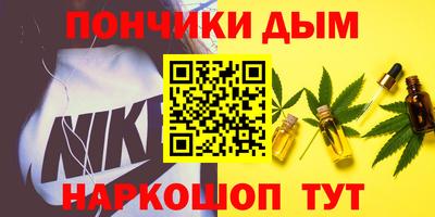 гидра Новозыбков