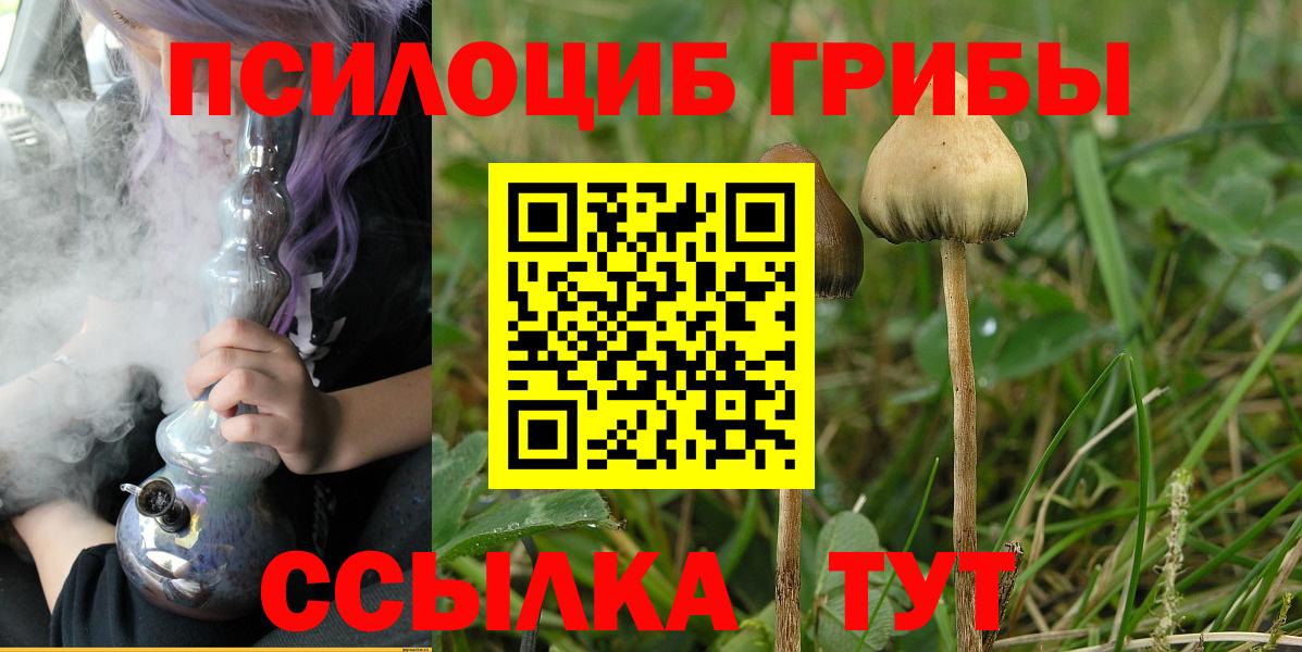 наркошоп  Вход с VPN  Серов  Псилоцибиновые грибы Psilocybe 