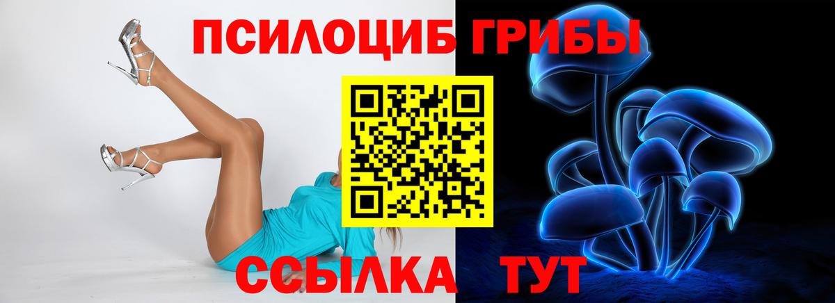 Псилоцибиновые грибы Psilocybe Серов